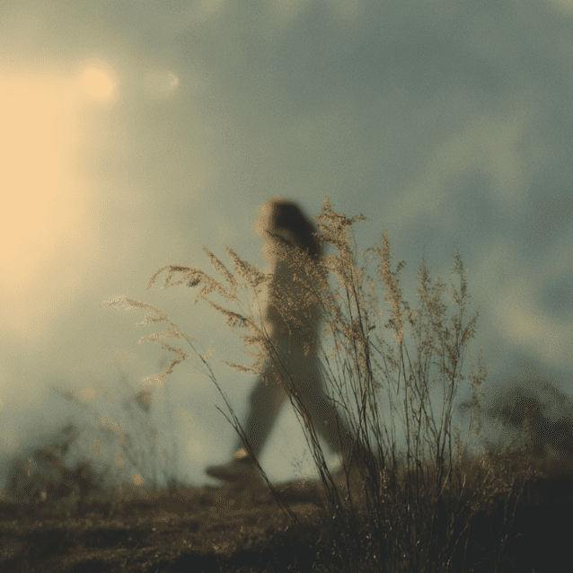 Ads Aligned Stock Images_2026 Facebook Ads_ads aligned